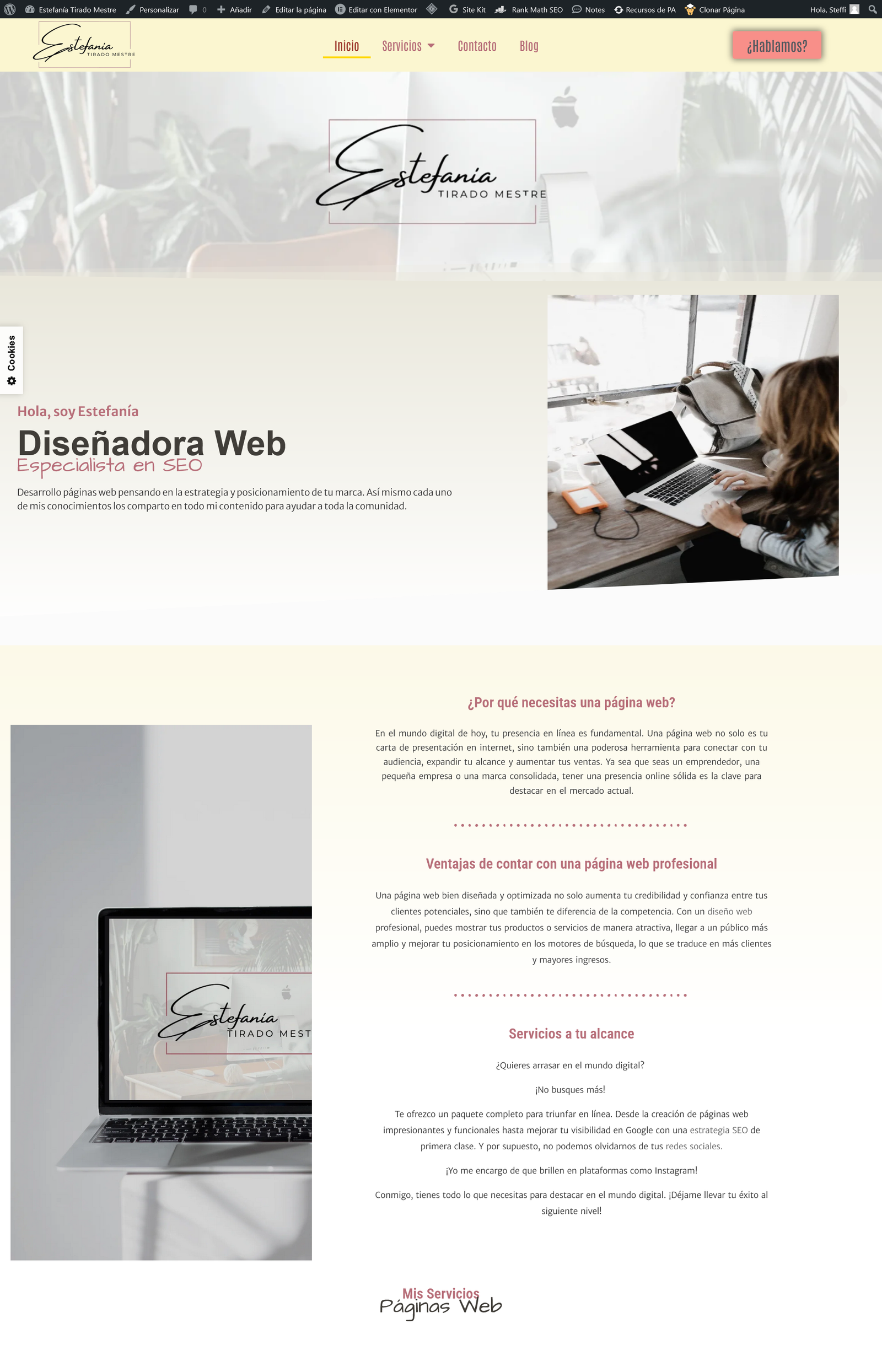web www.estefaniatiradomestre.com